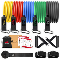 METEOR Essential 11pcs Resistance Band Set,exercise bands,fitness bands,for yoga,weightlifting,physical therapy,rehab,bench press,deadlift